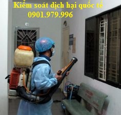 Dịch vụ phun muỗi