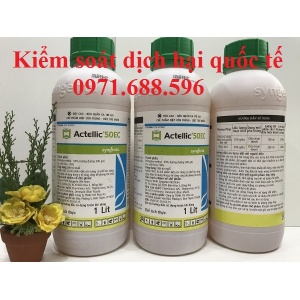 Thuốc Actellic 50EC- Thuốc phun khử trùng kho,diệt mọt tốt nhất