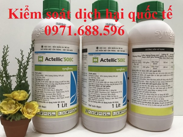 Thuốc Actellic 50EC- Thuốc phun khử trùng kho,diệt mọt tốt nhất