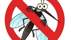 Dịch vụ phun diệt côn trùng- Dịch vụ phun muỗi cho các tòa nhà