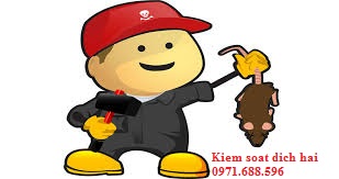 Dịch vụ diệt chuột hiệu quả tại Hà Nội