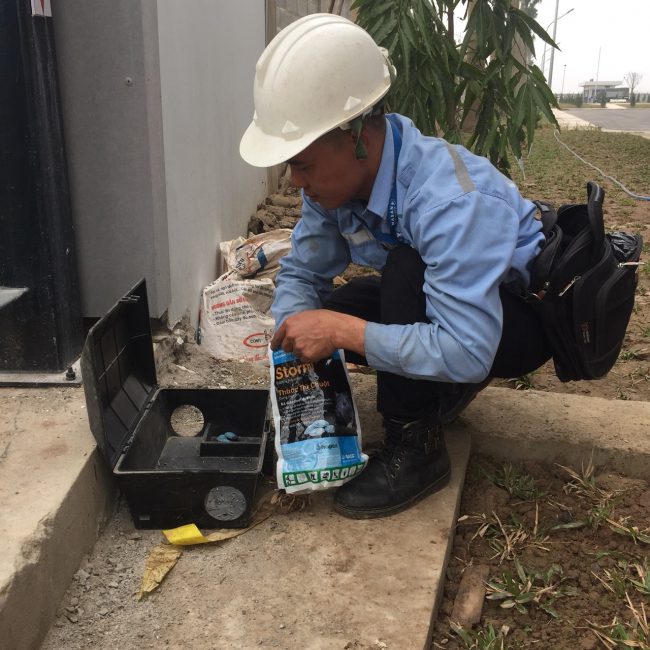 Diệt chuột tại Hà Nam