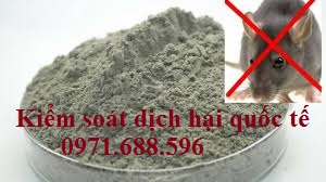 mẹ đuổi chuột