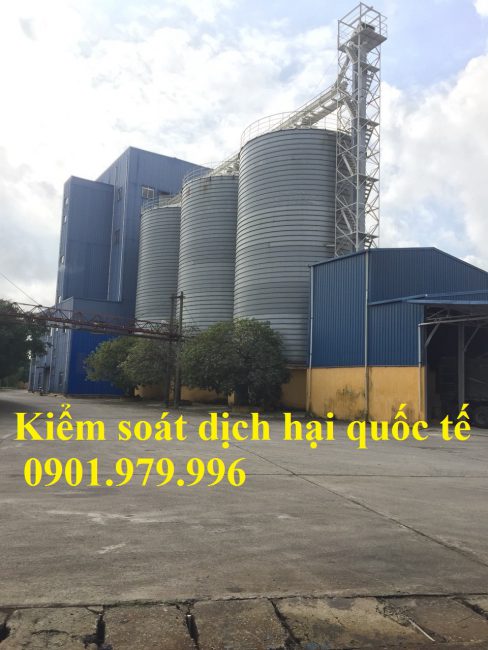 Dịch vụ khử trùng hàng hóa trong silo- khử trùng silo chứa hàng