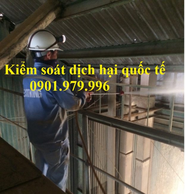 Phun sát trùng kho để kiểm soát mọt và côn trùng