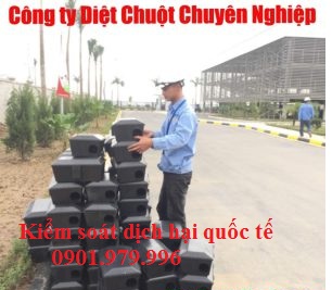 Dịch vụ diệt chuột tại Bắc Ninh