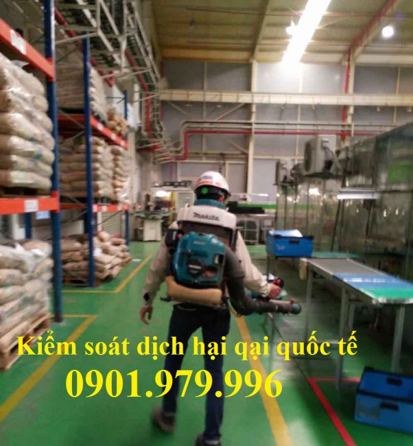 Dịch vụ phun diệt côn trùng tại Quảng Ninh