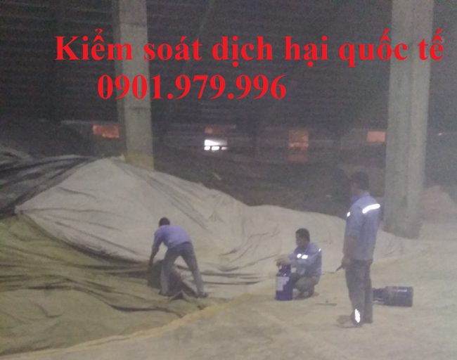 Xông hơi khử trùng tại Quảng Ninh