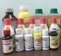 Phân phối thuốc diệt mối, mọt – Thuốc xông hơi khử trùng tại Bình Thuận