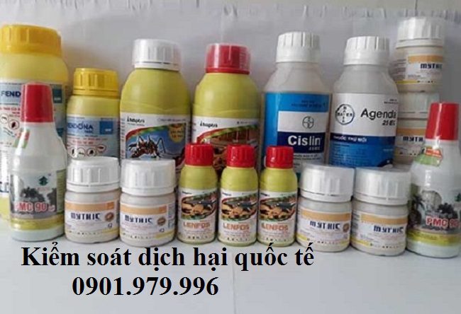 Công ty phân phối thuốc diệt mối, mọt trên địa bàn tỉnh Bắc Ninh