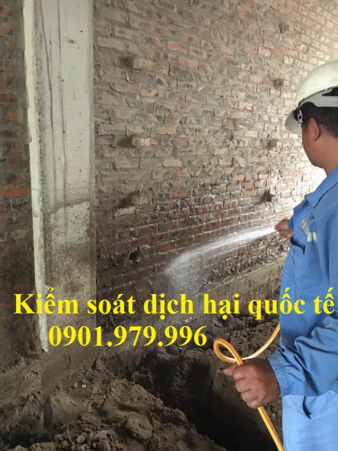Phòng chống mối tại Lào Cai