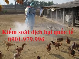 phun sát khuẩn cho trang trại
