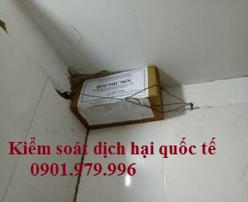 diệt mối tại Hưng Yên
