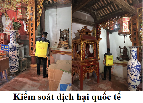 Diệt mối tại Hưng Yên