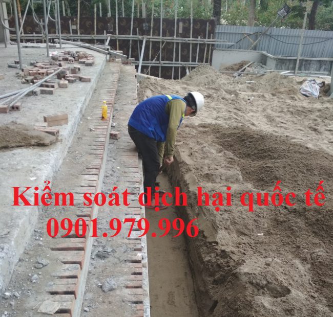 Chống mối tại Hưng Yên