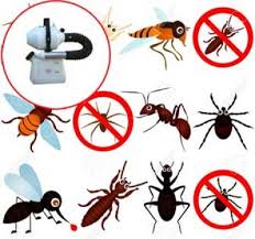 Các loại côn trùng gây hại