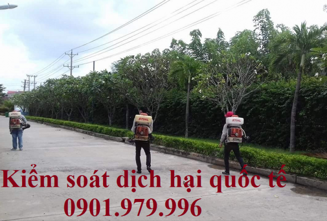 Dịch vụ diệt côn trùng tại Hà Nam