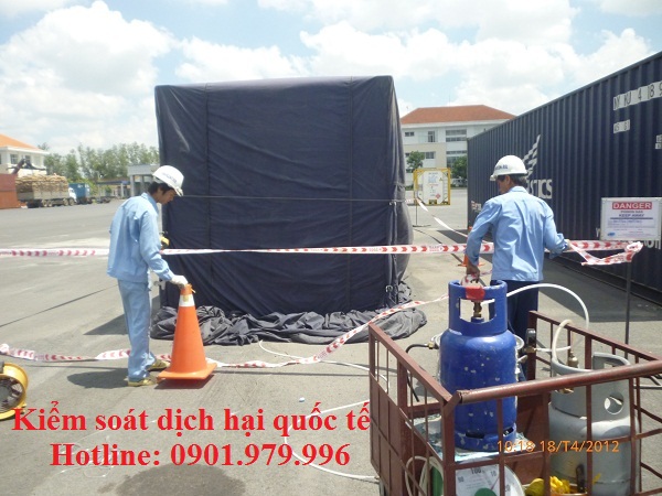 Dịch vụ xông hơi khử trùng- Hun trùng hàng hóa tại Nam Định