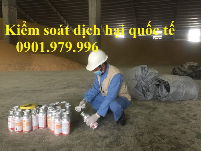 Dịch vụ xông hơi khử trùng- Hun trùng hàng hóa tại Quảng Ninh