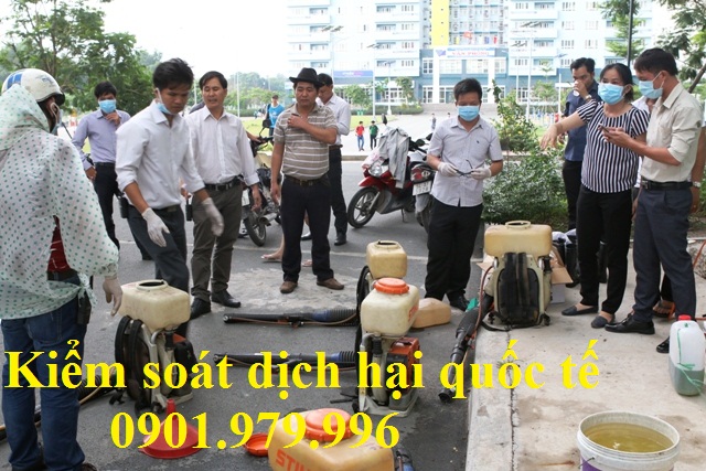 Dịch vụ phun thuốc diệt muỗi giá rẻ, bảo hành tại Bắc Ninh