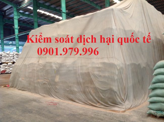 Khử trùng tại Sài Gòn
