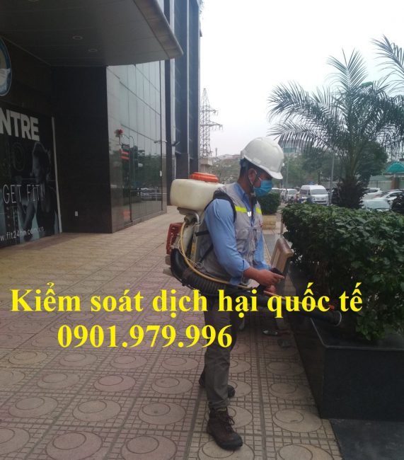 Kiểm soát côn trùng tại Long Biên