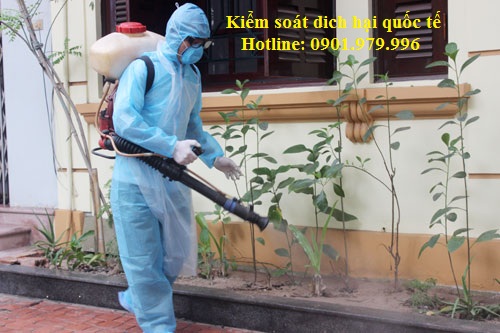 Kiểm soát côn trùng tại hà nam