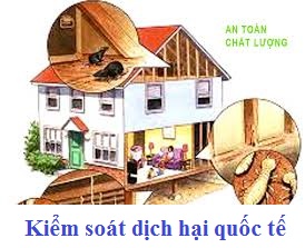 Công ty chống mối tại Hải Dương