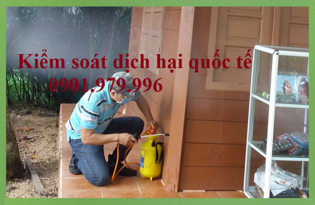 Công ty diệt chuột tại Bắc Ninh