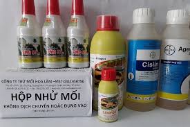 Thuốc diệt mối tại Quảng Ninh