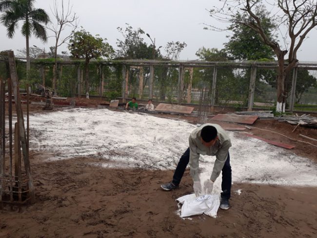 Chống mối tại Nam Định