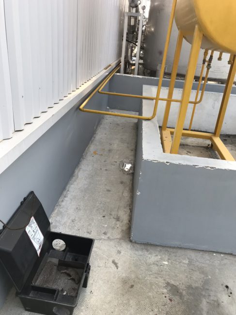 Diệt chuột tại Thái bình