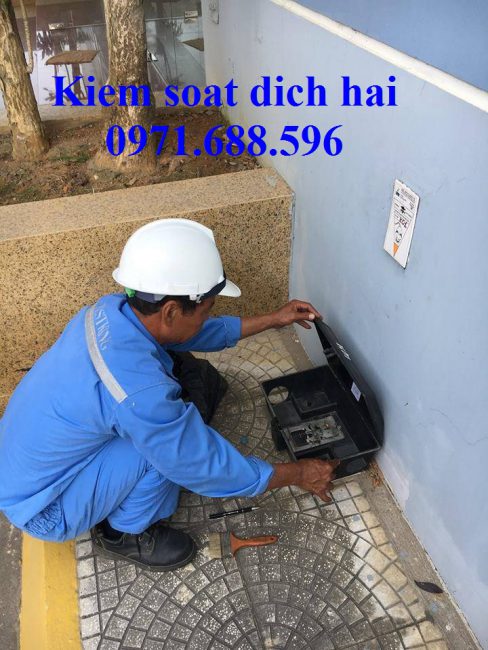 Kiểm soát chuột tại Thái Bình