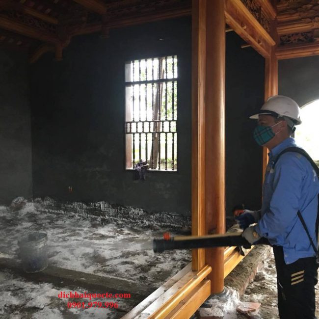 Diệt mối tại Điện Biên