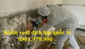 Diệt nấm mốc tại huyện Chương Mỹ