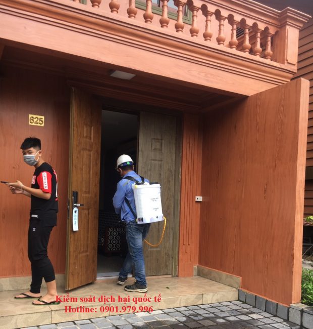 Dịch vụ diệt côn trùng hiệu quả, giá rẻ cho các hộ gia đình tại Hà Nội