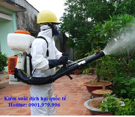 Công ty diệt côn trùng hiệu quả tại các tỉnh phía Bắc: 0901.979.996