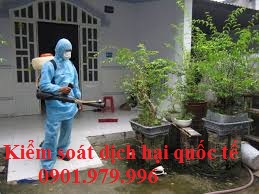 Dịch vụ diệt côn trùng hiệu quả, giá rẻ tại các hộ gia đình: 0901979996