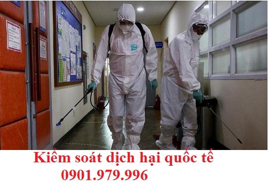 Dịch vụ phun thuốc sát trùng- phòng Virus Corona tại Thái Bình
