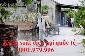 Phun phòng dịch tại Nam Định