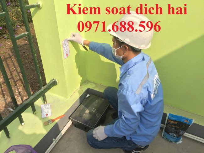 Dịch vụ kiểm soát chuột cho các nhà máy, công ty tại quận Thủ Đức