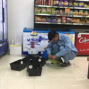 Dịch vụ diệt chuột hiệu quả, giá rẻ tại quận Bình Thạnh TP Hồ Chí Minh