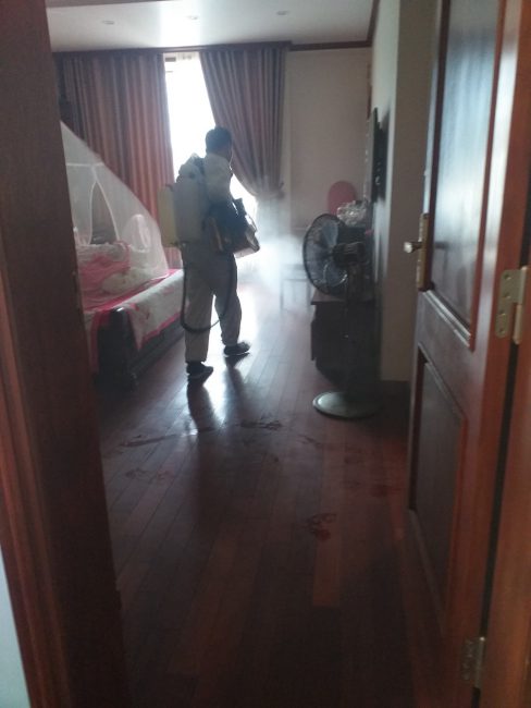 Phun phòng dịch tại Tuy Phong