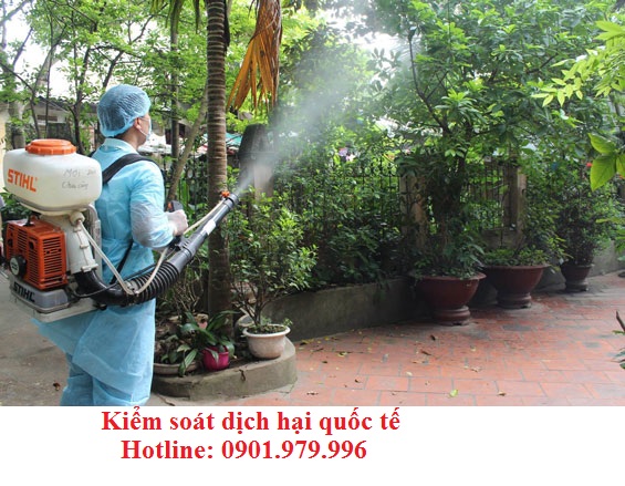 Dịch vụ phun thuốc muỗi an toàn, hiệu quả nguồn gốc thiên nhiên