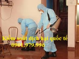 Diệt mối tận gốc tại các nhà hàng