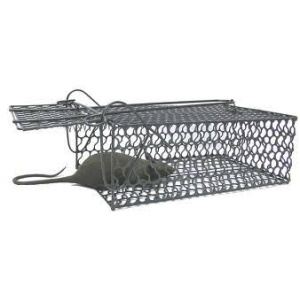 Bẫy chuột cơ khí- Bẫy chuột cơ học-Bẫy chuột bán nguyệt-Bẫy Lồng