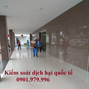 Phun côn trùng tại bệnh viện