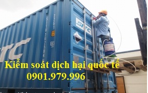 Khử trùng hàng hóa xuất nhập khẩu- Khử trùng palet, container